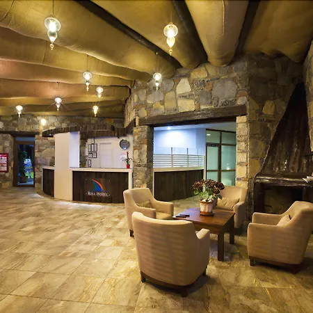 호텔 Risa 바이즈